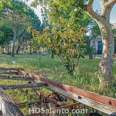 Masseria Macurano B&B 알레사노